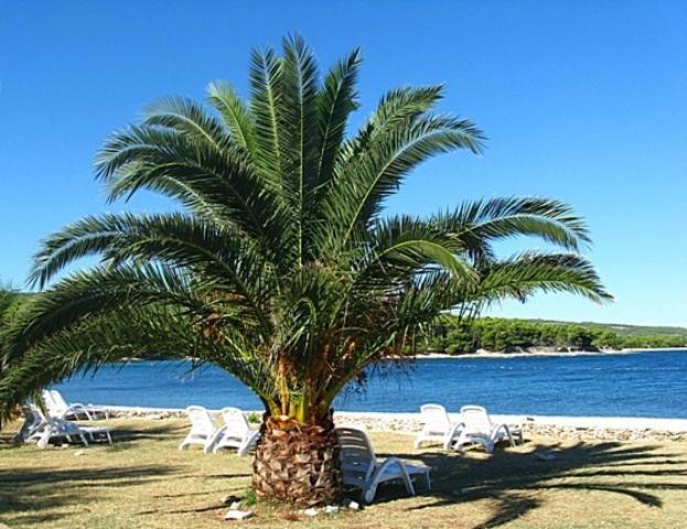 Villa Mia Casa Supetar Dış mekan fotoğraf